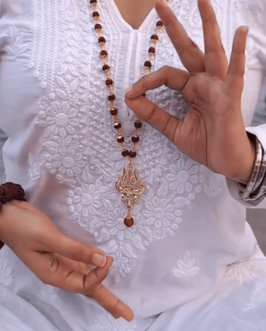 Panchmukhi Rudraksha OM Shiva Trishool Mala (54 Rudraksha)
